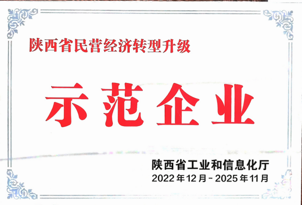 民营经济转型升级示范企业